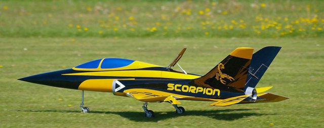 Scorpion